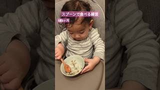 1歳5ヶ月赤ちゃんスプーンで食べる練習 17months baby boy practices how to use a spoon shrots [upl. by Sylvanus]