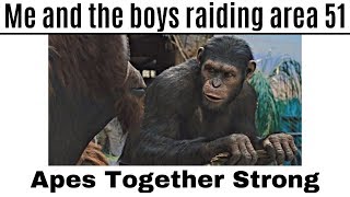 Apes Together Strong  Meme Compilation [upl. by Fugate370]