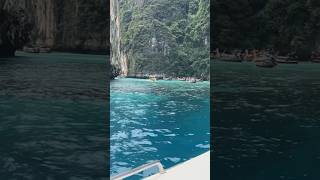 Phi phi island Thailand beats thailand thai phiphiislands phiphi travel viralshorts reels [upl. by Samled262]