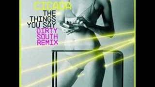 Cicada  The Things You Say Dirty South Radio Edit Remix [upl. by Furr881]