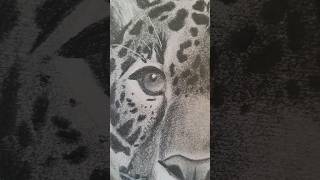 🫢 ART REVEAL ✨️ Epic Leopard Drawing – PART 2🐆 drawing art [upl. by Akirdnwahs234]