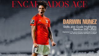 DARWIN NUNEZ quotENCARNADOS ACEquot SKILLS amp GOALS HIGHLIGHTS 20212022 BENFICA [upl. by Suzanne987]