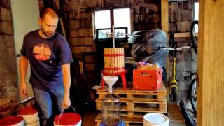 Making Red Wine From Grapes  Part 2 [upl. by Norabel]