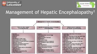 Management of Hepatic Encephalopathy in 5 Minutes [upl. by Aznerol378]