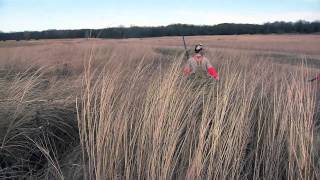 Kansas Upland Game Bird Hunting  1415 [upl. by Aloap]