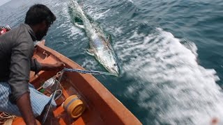 Tuna Fishing Caught on Tape  KADAL Tv [upl. by Eulaliah]