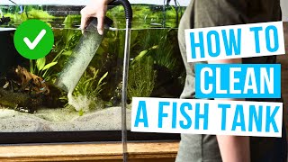 How to CLEAN A FISH TANK  maintain a clean aquarium [upl. by Vlada]