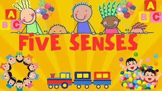 FIVE SENSES SIGHT SMELL HEARING TASTE TOUCH KIDS ENGLISH LEARNING ENGLISH LEARNING KIDS [upl. by Anirrehs462]