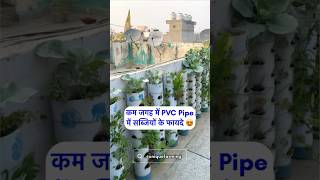 कम जगह में PVC Pipe में सब्ज़ियों के ये फायदे जान लो 😍 8527353130 [upl. by Atidnan851]