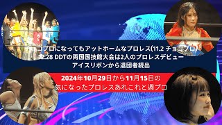 チョコプロになってもアットホームなプロレス112・1228 DDTで2人のプロレスデビュー・アイスリボンから退団者続出【2024年10月29日から11月15日の気になったプロレスあれこれ】 [upl. by Bronny]