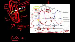 Cardiac Cycle [upl. by Fanya]