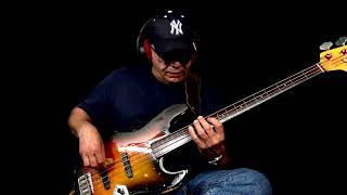 Bireli Lagrene  Blues Bb Jazz Bass Solo [upl. by Hiamerej]