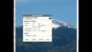 Cómo reducir una imagen con GIMP [upl. by Akzseinga]