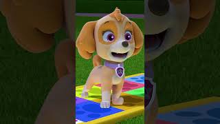 PAW Patrol  Liberty en Skye spelen PUP PUP BOOGIE Shorts [upl. by Pinsky]