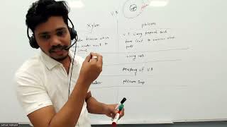 Xylem and Phloem  Transport in Plants  Biology  Differentiation  Sumeet Mahadik  class 9 CBSE [upl. by Ahtrim]