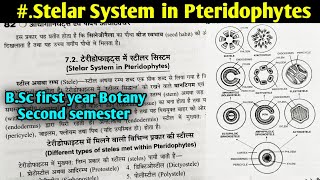 Stelar System in Pteridophytes in hindi  BSc first year Botany Second semester [upl. by Aidyn]