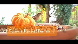 Schöne Herbstferien [upl. by Niamrej96]