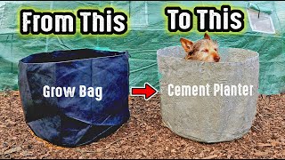 How to Turn A Fabric Grow Bag Into A Beautiful Concrete  Cement Raised Bed Planter [upl. by Nyrhtak]