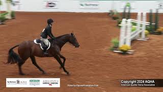 Select Working Hunter  2024 AQHA World Championship Show [upl. by Carothers154]