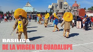 DANZANTES en la BASILICA DE GUADALUPE 2024 CDMX [upl. by Konstantine]