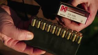 Hornady Superformance CX 308 [upl. by Eelnayr]