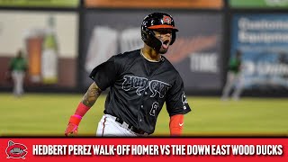 Hedbert Perez Walkoff Home Run vs Down East Wood Ducks 52623 [upl. by Ilrebma]