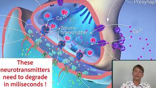 Understanding neurotransmission and how our medications affect it [upl. by Harv311]