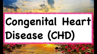 Congenital Heart Disease CHD  Hindi amp English [upl. by Eybba]