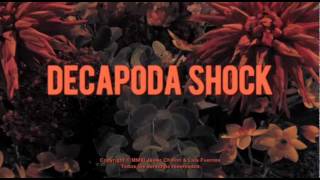 Decapoda Shock Teaser 2 [upl. by Ku]