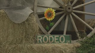 Bonifay Festivities continue with Northwest Florida Championship Rodeo Parade [upl. by Leuamme]