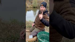 Ultimativer Tipp zum angeln auf Quappe angeln fishing [upl. by Ahselrac]