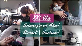 Shoppen mit Milan  Katzen außer Kontrolle  Reborn Baby Deutsch  Little Reborn Nursery [upl. by Asel]