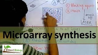 DNA Microarray synthesis [upl. by Eerased]