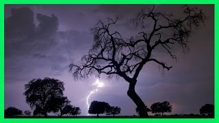 ⚡ Sonido de Lluvia y Truenos para Dormir⚡ 4 Horas  Tormenta Fuerte  Lluvia Relax con Truenos [upl. by Teodora]