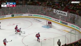 You absolutely CANNOT do this in the NHL [upl. by Jessey]