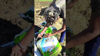 vairlshort royalशेतकरी farming organic funnypictures minivlog viralvlogs myfirstvlog [upl. by Dahl189]