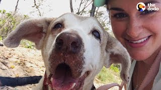 Dog Who Spent 7 Years In The Shelter Is SO Happy To Have A Family  The Dodo Faith  Restored [upl. by Ytsirhk712]