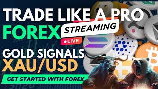 Forex Live Gold Signals XAUUSD Moneymint [upl. by Yhtrod323]