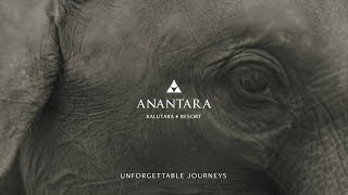 Anantara Kalutara Resort  Udawalawa Elephant Orphanage [upl. by Dabbs]