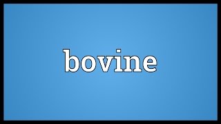 Bovine Meaning [upl. by Holman]