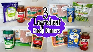 Quick amp Easy 3INGREDIENT Dinners You Can Make TONIGHT  Tasty Cheaper Meal Ideas  Julia Pacheco [upl. by Hilliary]