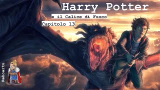 Audiolibro  Harry Potter e il calice di fuoco  Lettura e Commento Cap 13 [upl. by Nelleus]