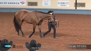 2020 AQHA Select Showmanship [upl. by Mahau493]