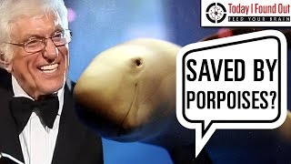 That Time Dick Van Dyke was Saved by Porpoises While Lost at Sea [upl. by Berl257]