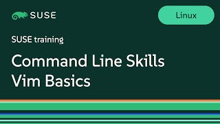 Command Line Skills Vim Basics [upl. by Sisenej735]