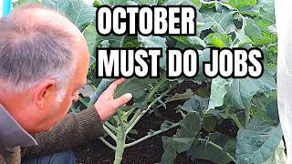 Octobers No Dig Gardening Top Tips to Boost Your Productivity [upl. by Kelwin23]