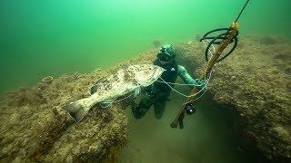 Spearfishing for GIANT Grouper In Ocean Dangerous shot  Jiggin With Jordan [upl. by Charlene416]