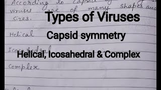 Types of Viruses According to Capsid symmetry [upl. by Evilc356]