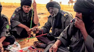 Mauritanie  Méharistes gardiens du désert [upl. by Eiramoj591]