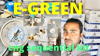 EGREEN SEQUENTIAL CNG KIT cng sequential kit [upl. by Eniamrahc]